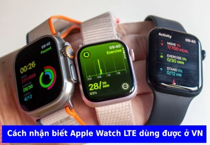 Apple Watch LTE là gì? Cách kiểm tra eSIM hỗ trợ tại Việt Nam 2026