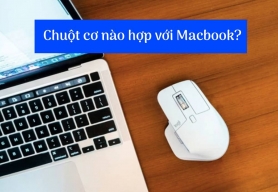 MacBook Dùng Chuột Cơ Được Không? Những Loại Chuột Dùng Tốt Cho MacBook