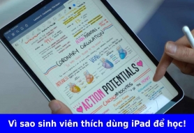 Vì sao giờ nhiều sinh viên chọn iPad để học thay vì chỉ dùng laptop?