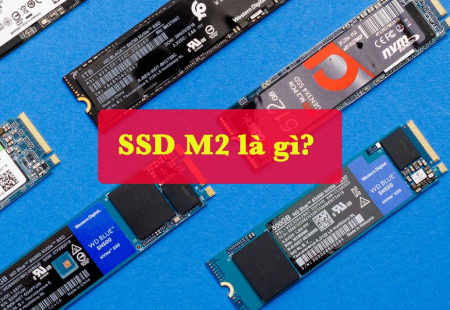 Phân biệt các loại ổ cứng SSD M2? SSD hãng nào là tốt nhất?